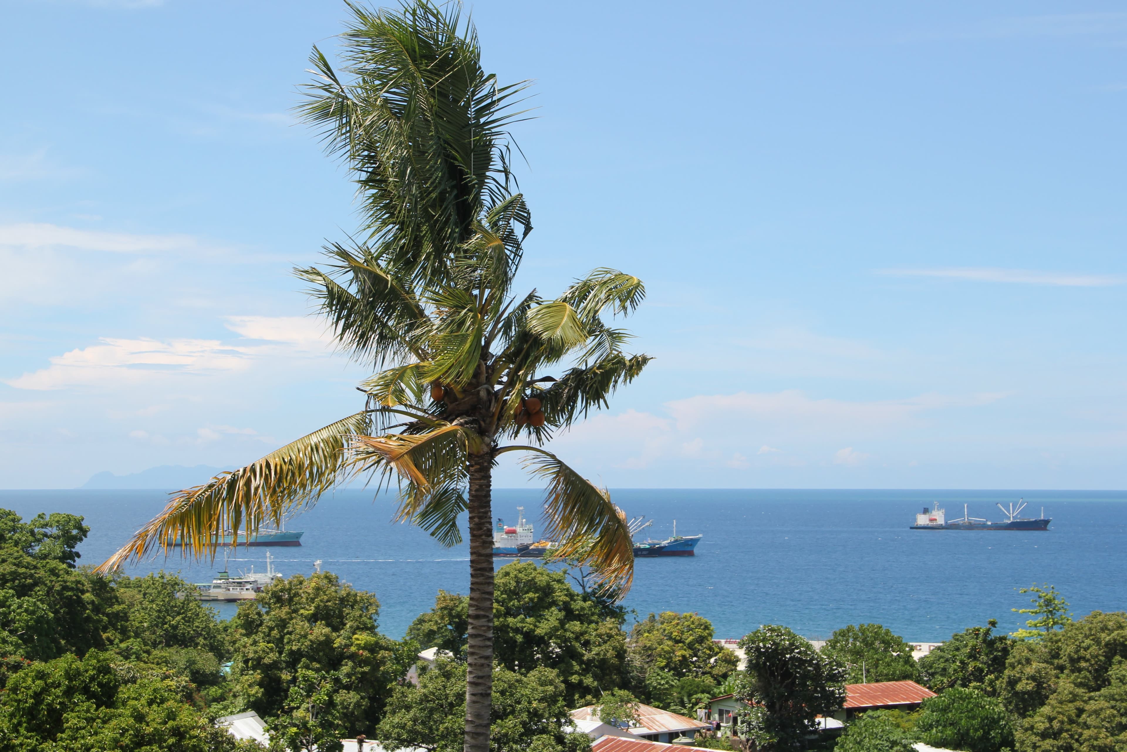 Honiara harbour with ships in the distance